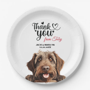 Wirehaired Pointing Griffon Paper Plate