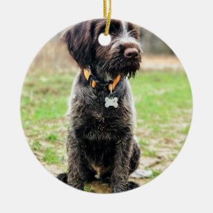Wirehaired pointing Griffon puppy Ceramic Tree Decoration
