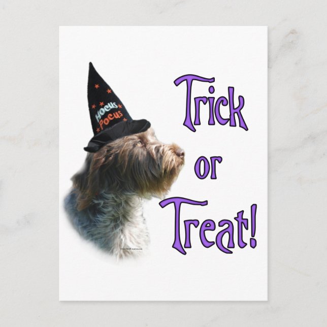 Wirehaired Pointing Griffon Trick Postcard (Front)