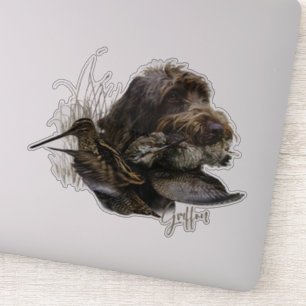 Wirehaired Pointing Griffon , Woodcock hunting