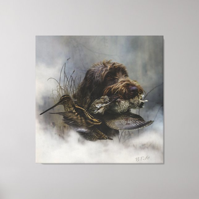 Wirehaired Pointing Griffon , Woodcock hunting    Canvas Print (Front)