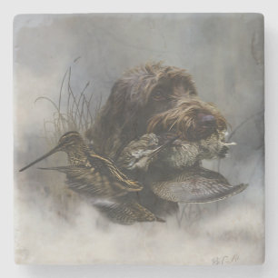 Wirehaired Pointing Griffon , Woodcock hunting Stone Coaster