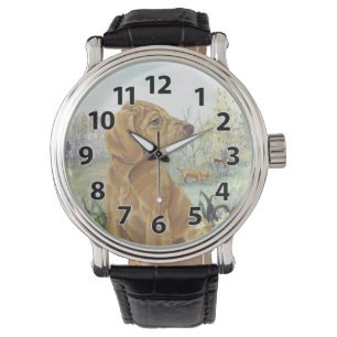 Wirehaired Vizsla Puppy Dreamer Wristwatch