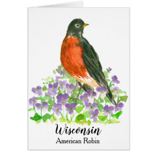 Wisconsin American Robin State Bird