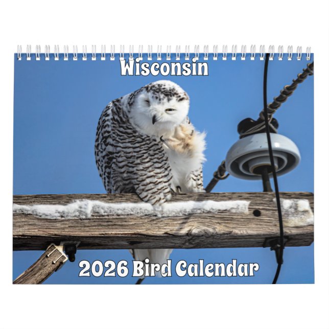 Wisconsin Birds Calendar 2026 (Cover)