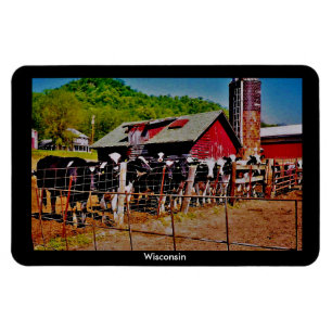 Wisconsin Cows Magnet