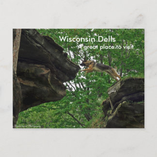 Wisconsin Dells, A great place ... Postcard