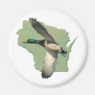 Wisconsin duck magnet