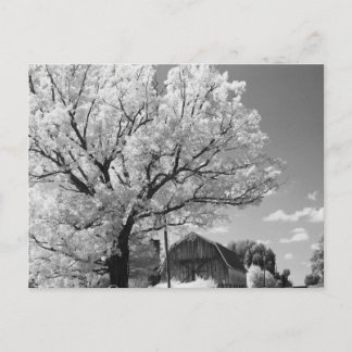 Wisconsin Farm Postcard