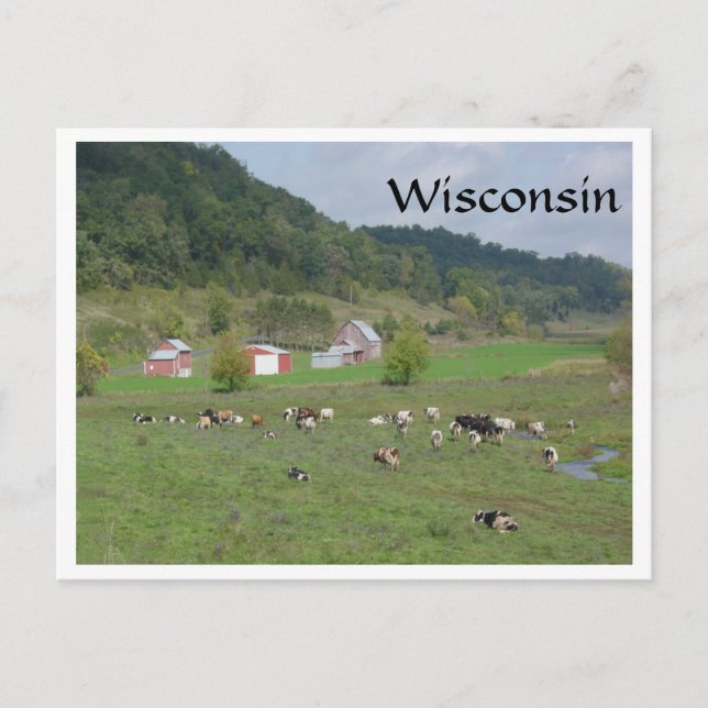 Wisconsin Pasture Postcard (Front)