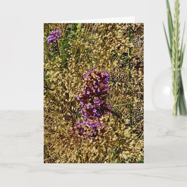 Wisconsin Purple Wildflower, Fall 2021 Card (Front)