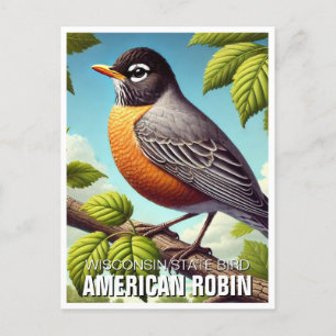 Wisconsin State Bird American Robin Postcard