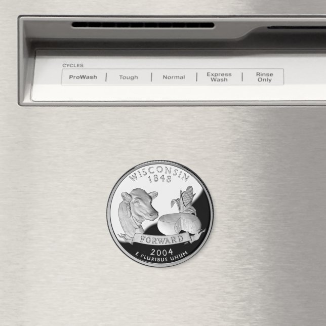 Wisconsin State Quarter Magnet (In Situ (Dishwasher))