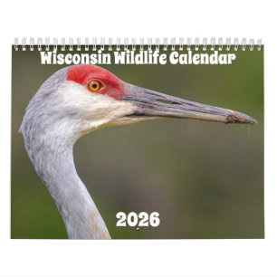 Wisconsin Wildlife Calendar 2025