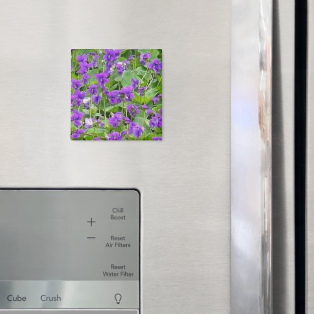 Wisconsin Wood Violets - Customised Magnet (In Situ (Fridge))
