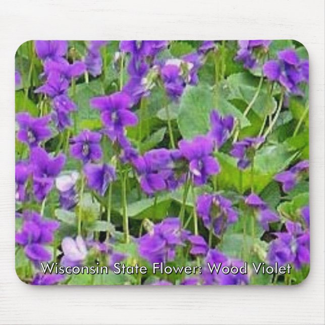 Wisconsin Wood Violets Mouse Mat (Front)