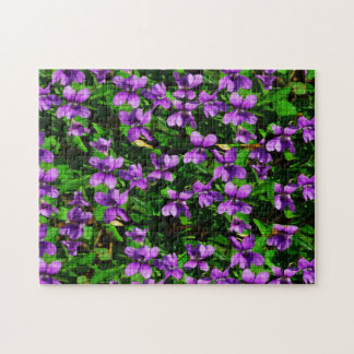 Wisconsin Wood Violets Puzzle