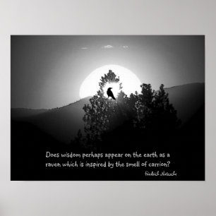 Wisdom As A Raven Poster