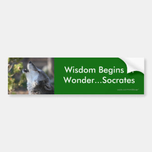 Wisdom Bumper Sticker
