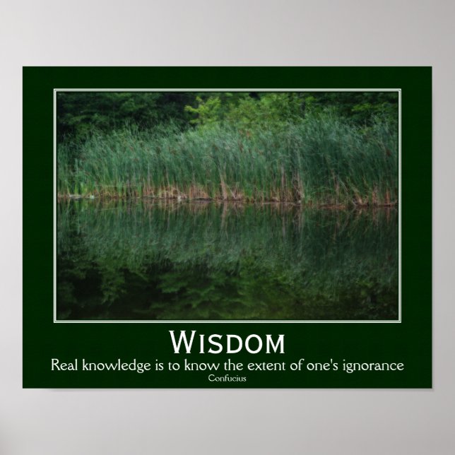 Wisdom Confucius Quote Cattails Inspirational Poster (Front)