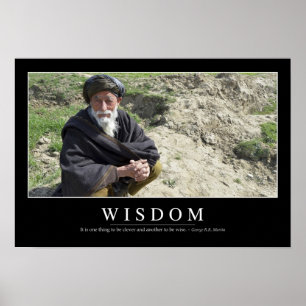 Wisdom: Inspirational Quote 1 Poster