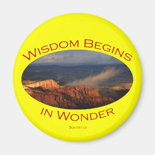 wisdom magnet