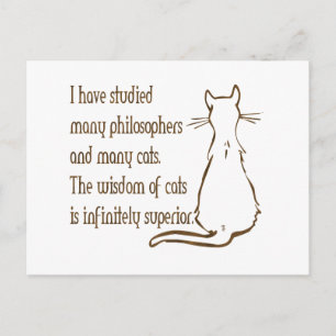 Wisdom of Cats Postcard