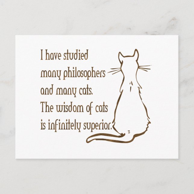 Wisdom of Cats Postcard (Front)