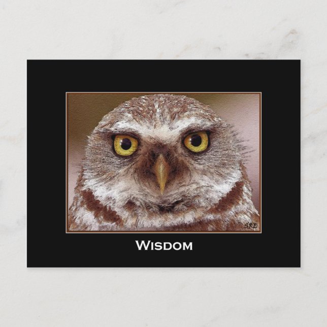 WISDOM OWL POSTCARD (Front)