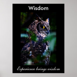 Wisdom Poster