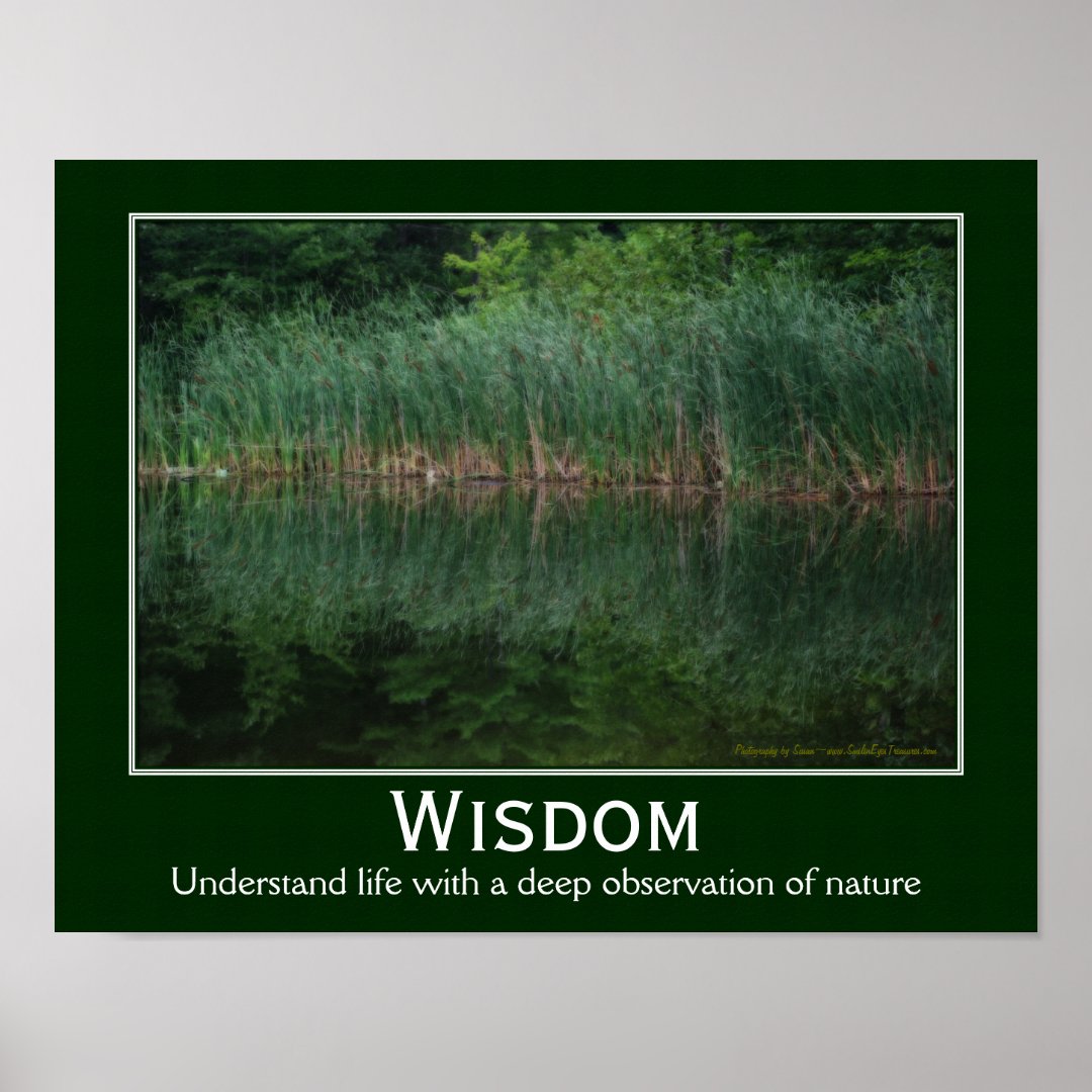 Wisdom Quote Cattails In Pond Inspirational Poster Zazzle