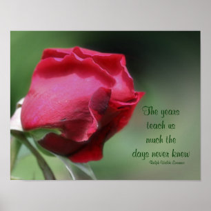 Wisdom Quote Rosebud Inspirational Poster