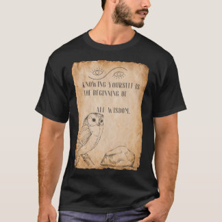 Wisdom Seeker - with Ancient Vibes! T-Shirt