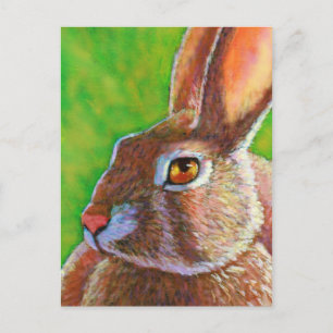 Wise Bunny Postcard