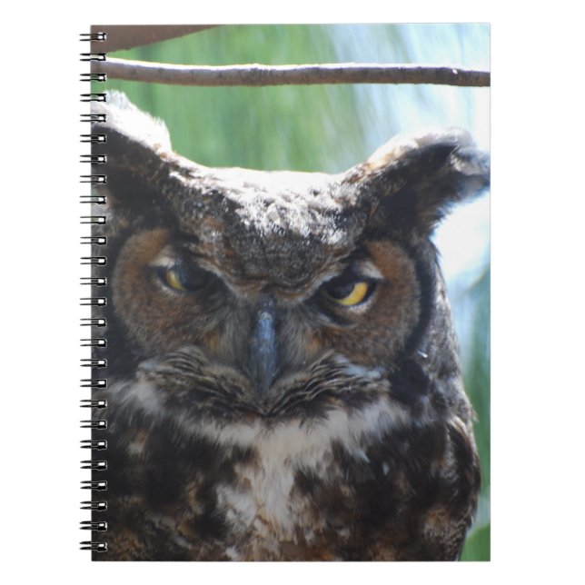 Wise Long Eared Owl Notebook (Front)