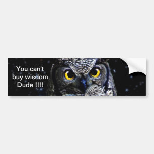 Wise old Owl and stars Bumper Sticker