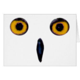 Wise Old Owl Eyes