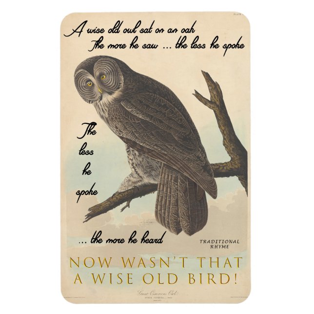 Wise old owl magnet (Vertical)