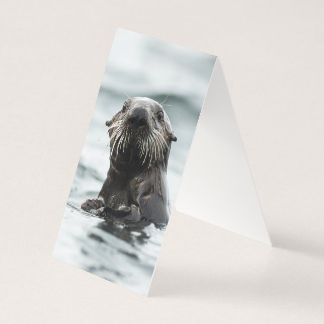 Wise Otter (Back)