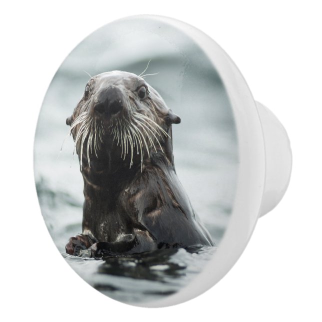 Wise Otter Ceramic Knob (Right)