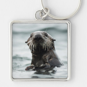 Wise Otter Key Ring