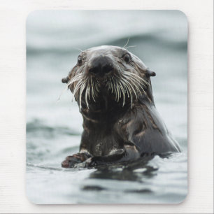 Wise Otter Mouse Mat
