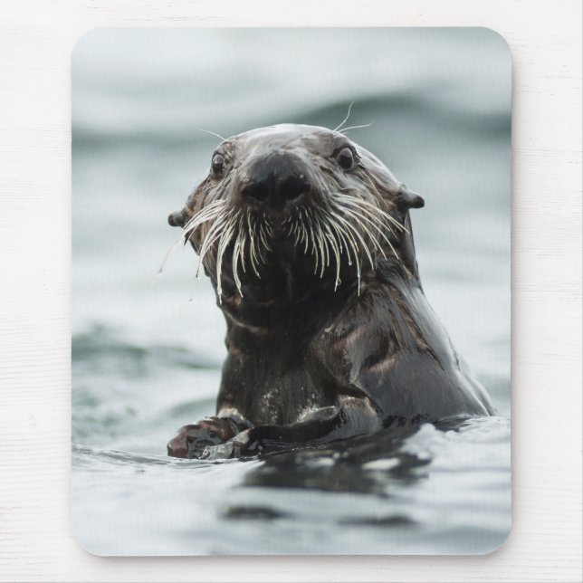 Wise Otter Mouse Mat (Front)