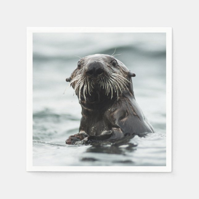 Wise Otter Napkin (Front)