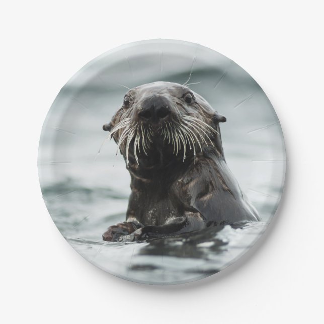Wise Otter Paper Plate (Front)