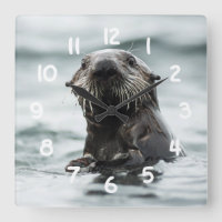 Wise Otter