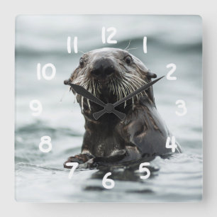 Wise Otter Square Wall Clock