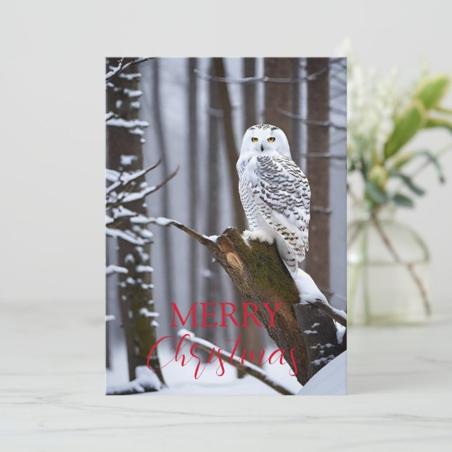 Wise Owl in a Snowy Wonderland Holiday Card (Standing Front)
