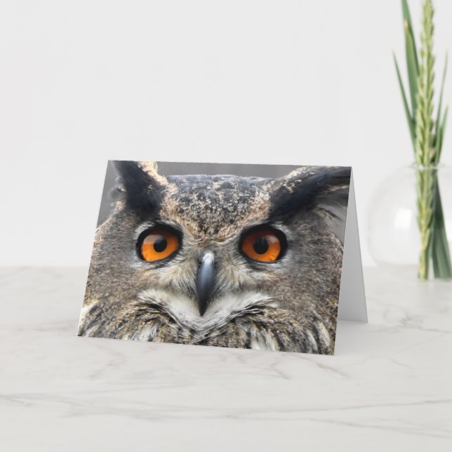 Wise Owl Photograph Card (Front)