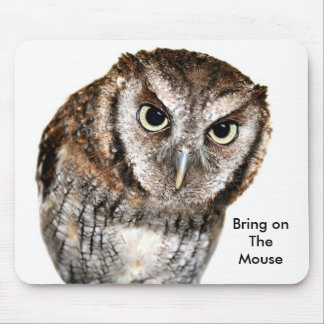 Wise Owl waiting for Mouse fun Mat